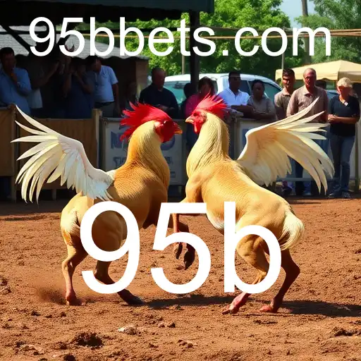 Rinha de galos